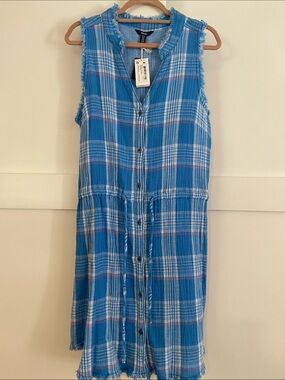 Hatley Blue Plaid Sleeveless Button-Front Dress
